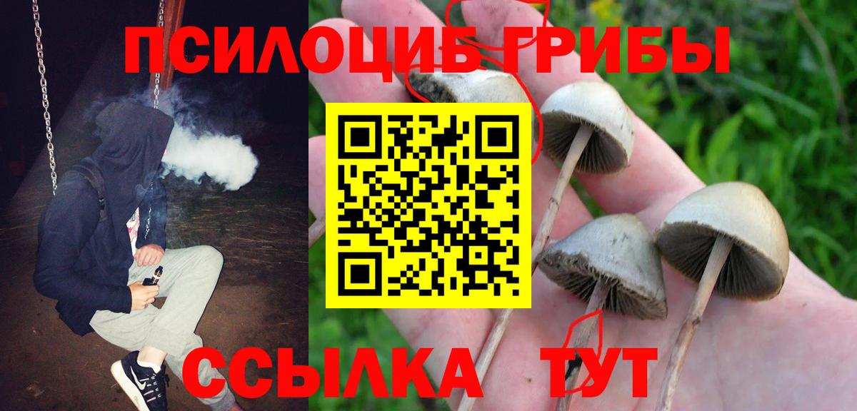 Гусиноозёрск  Псилоцибиновые грибы ЛСД  Галлюциногенные грибы мухоморы  Вход с VPN 