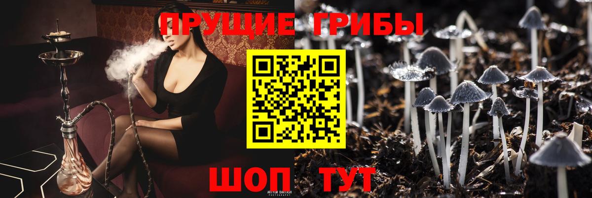 Галлюциногенные грибы ЛСД Гусиноозёрск